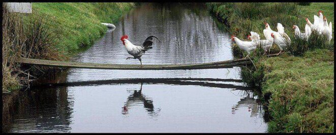 ...c'est Pâques !.....